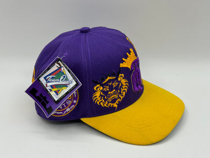 TQ LeBron James “THE KING” Tribute Snapback by PKC
