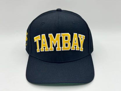 Tambay Cap V5 “Ginto” Snapback